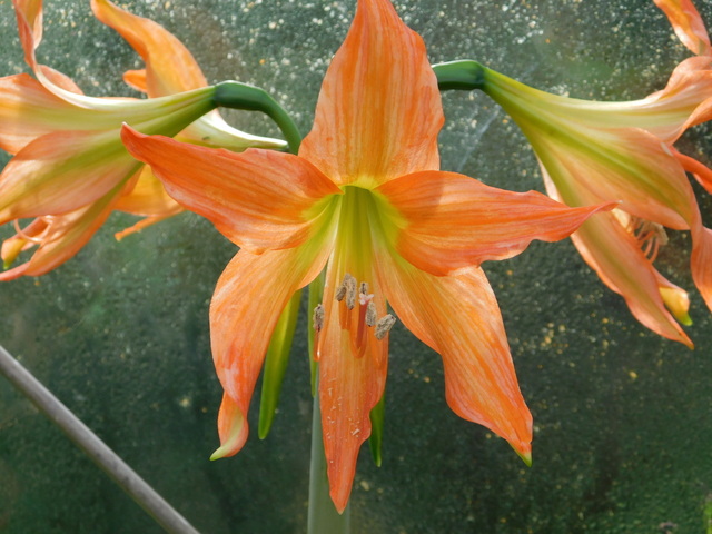 DSCN9816.JPG