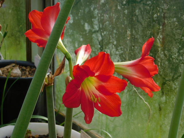 DSCN9817.JPG