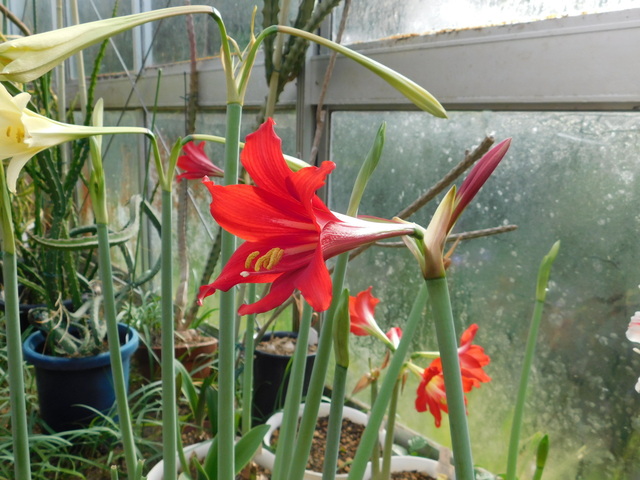 DSCN9819.JPG
