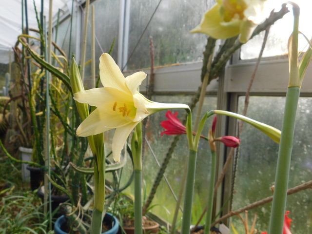 DSCN9821.JPG