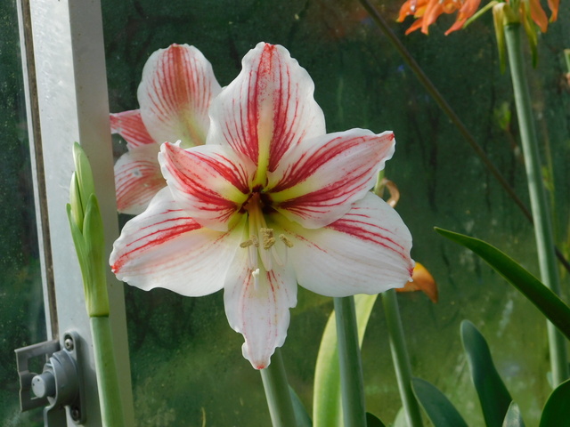 DSCN9826.JPG