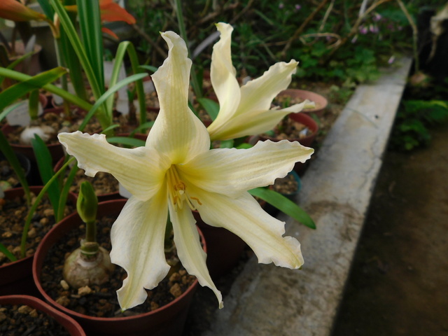 DSCN9827.JPG