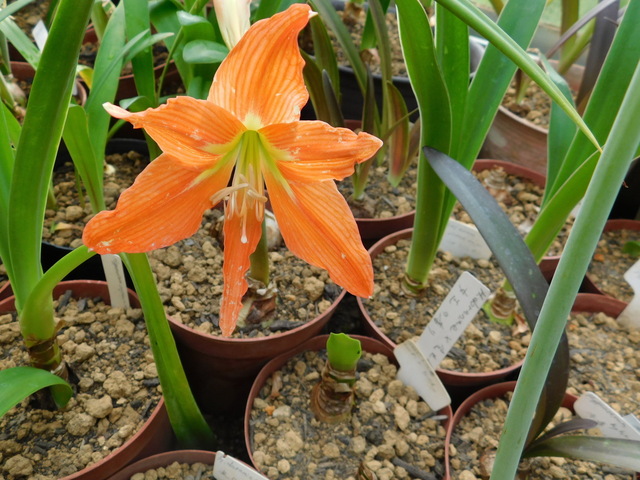 DSCN9830.JPG