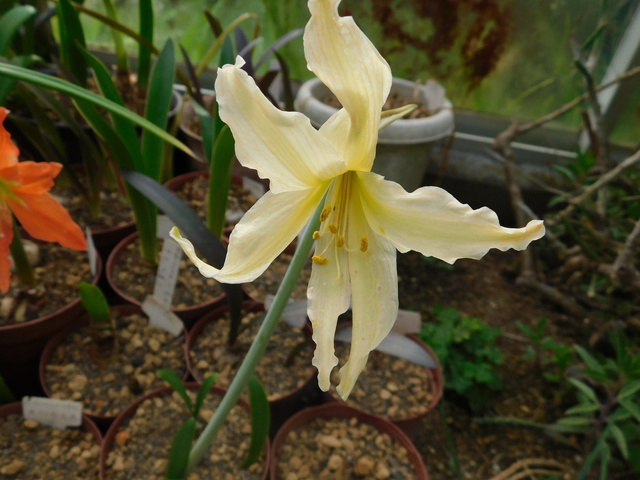 DSCN9831.JPG