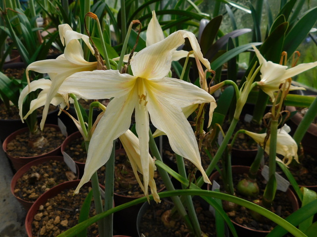 DSCN9833.JPG