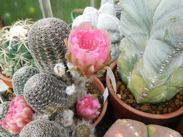 DSCN9838.JPG