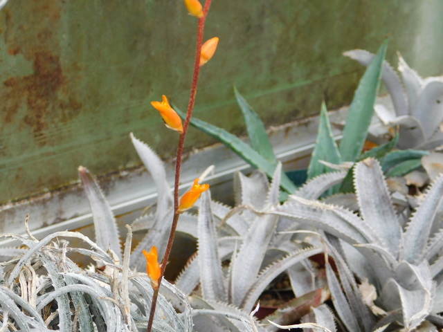 DSCN9844.JPG