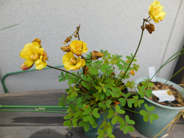 DSCN9850.JPG