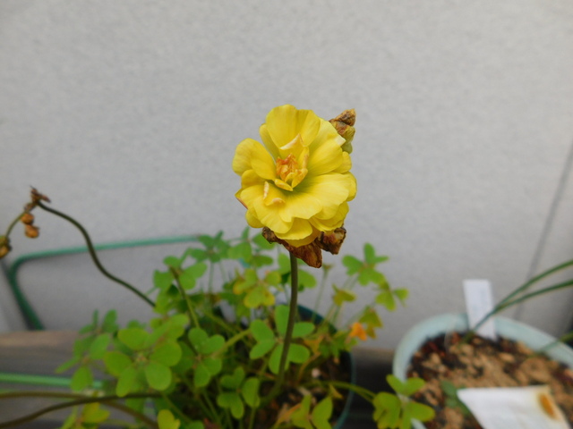 DSCN9852.JPG