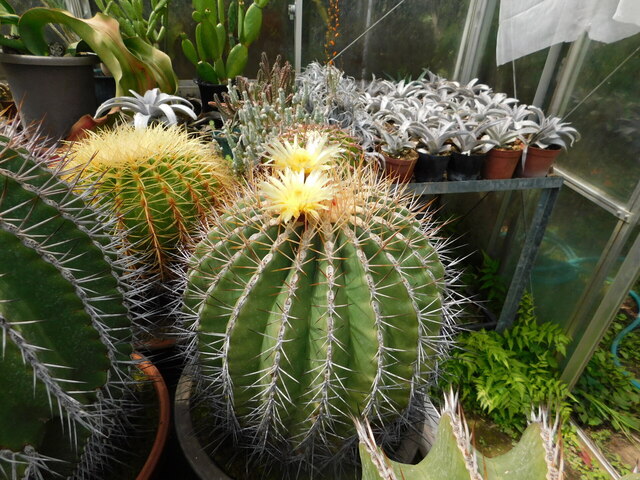 DSCN9855.JPG