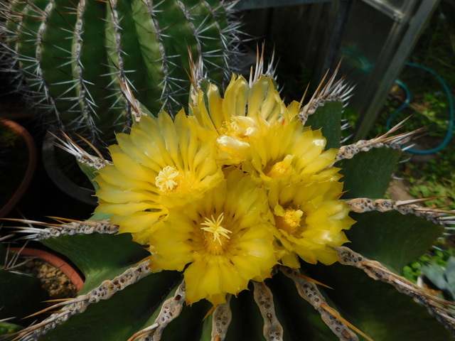DSCN9857.JPG