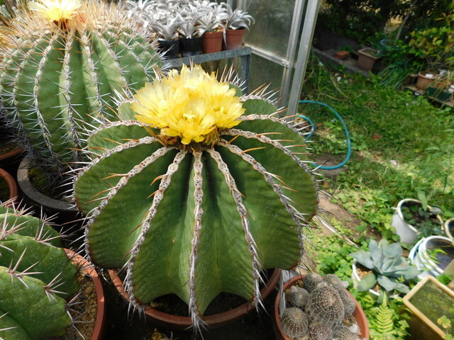 DSCN9859.JPG