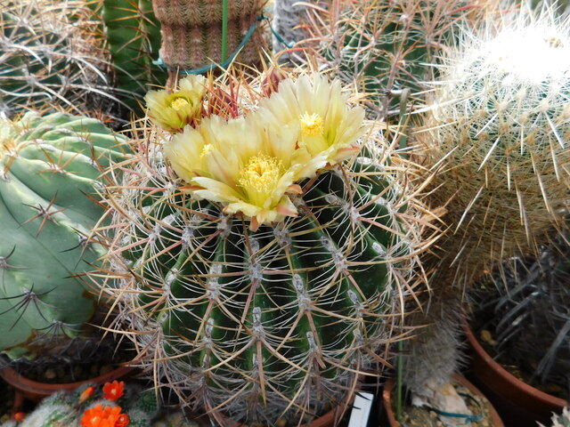 DSCN9866.JPG