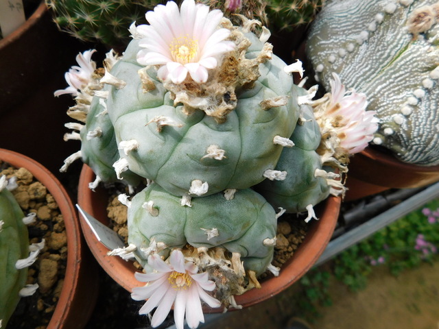 DSCN9872.JPG