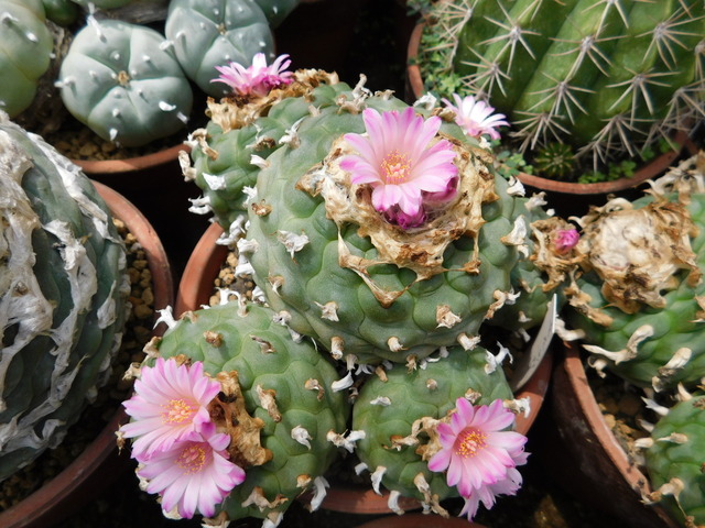 DSCN9873.JPG