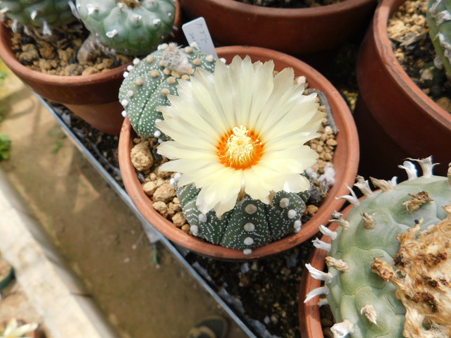 DSCN9876.JPG