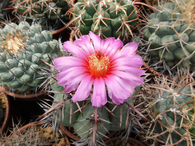 DSCN9878.JPG