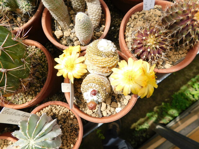 DSCN9892.JPG