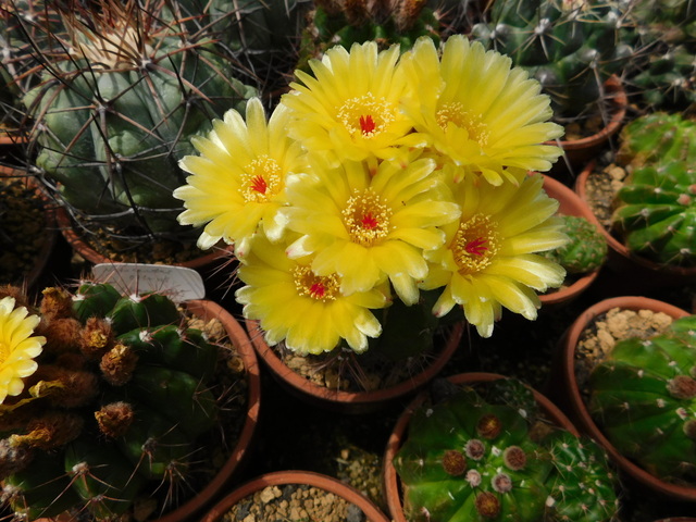 DSCN9896.JPG