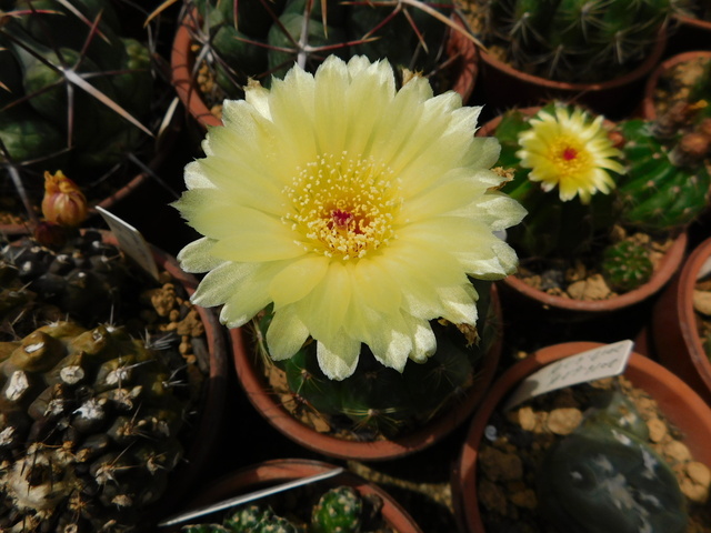 DSCN9898.JPG
