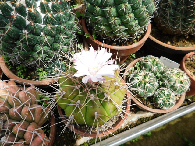 DSCN9901.JPG