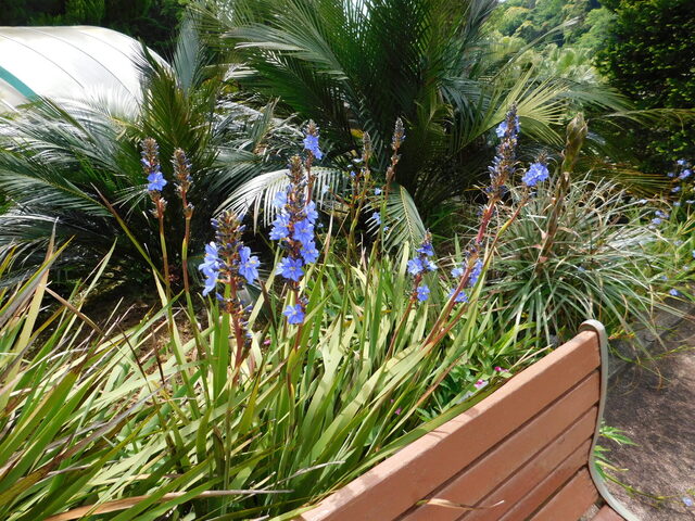 DSCN9916.JPG