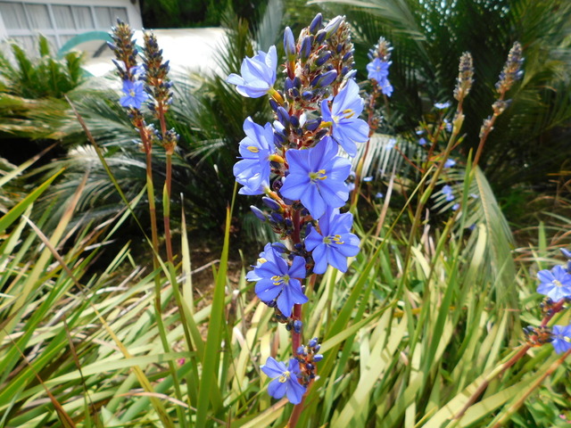 DSCN9917.JPG