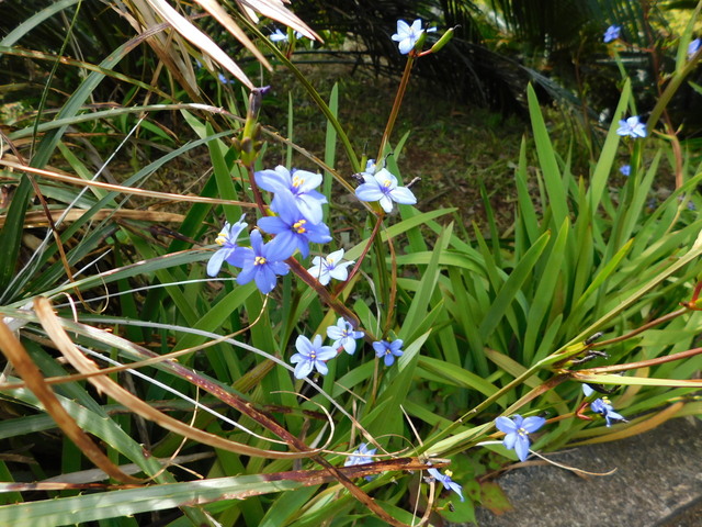 DSCN9922.JPG