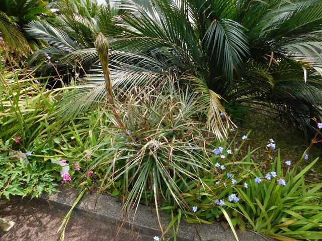 DSCN9923.JPG