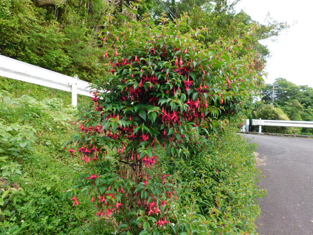 DSCN9928.JPG