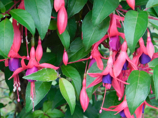 DSCN9933.JPG