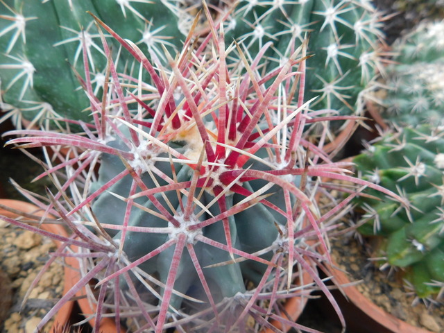 DSCN9964.JPG