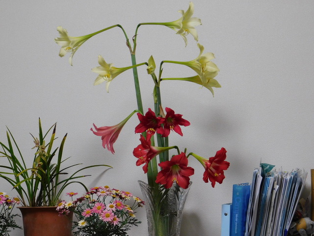 DSCN9988.JPG